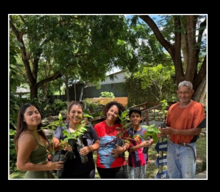 Coluna Anamaria: Museu  promove dia do meio ambiente com doação de mudas,feira,oficinas para toda a família em todo o mês de junho!